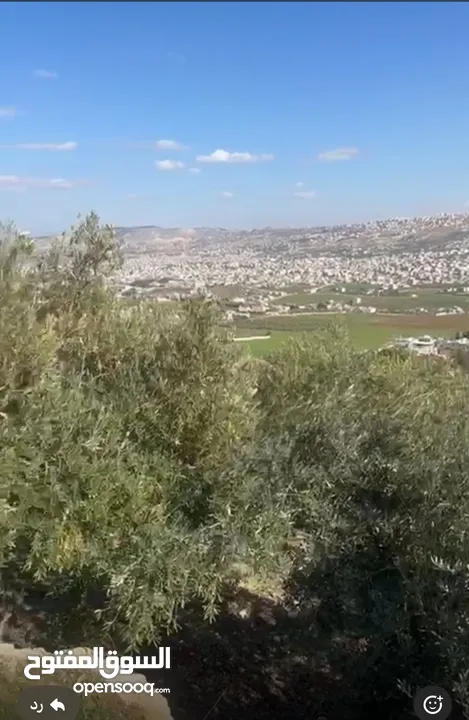 4 قطع اراضي للبيع في منطقة عين الباشا