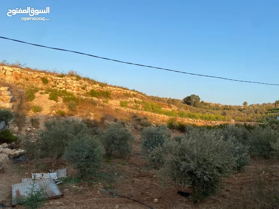 ارض في قربه النبي الياس