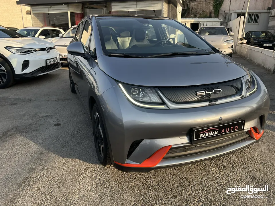 BYD Dolphin 2022 تمويل على الهوية