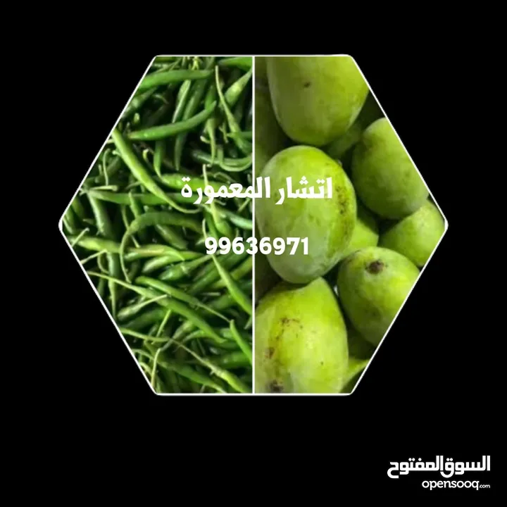 المعمورة محافظة مسقط مطرح