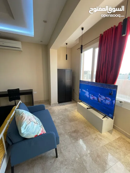 Fully furnished luxury one bedroom flat with all modern equipments and well decorated place