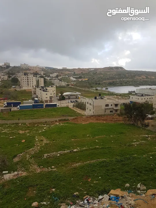 شقه للبيع بيتونيا