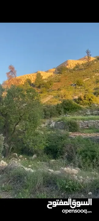 ارض للبيع مخطط طابو كشأن جاهز من مجاميعه سعرها رخيص من المالك نفسه الله يطرح البركه لصاحب النصيب