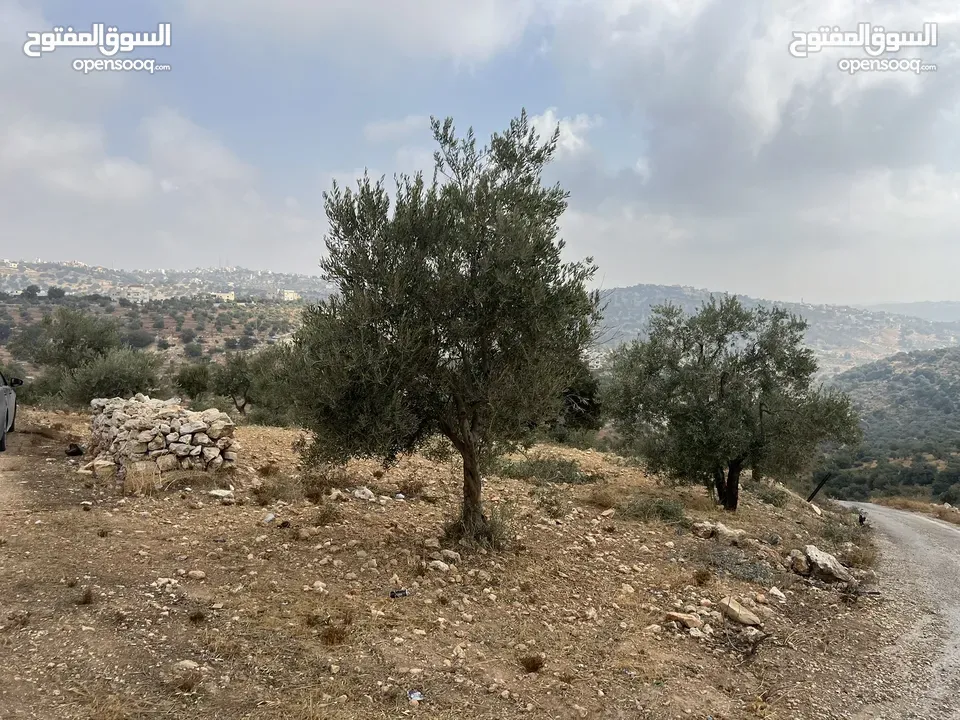 (1)ارض للبيع في بدر الجديدة السويسة مساحة الأرض 4500 م