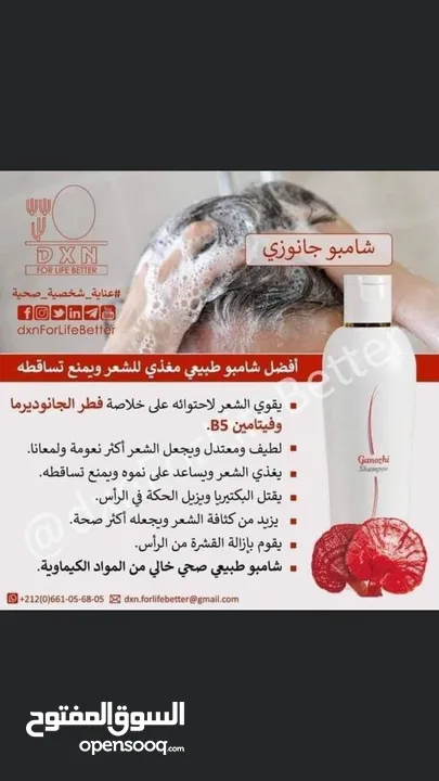 تسويق منتجات شركه ديكسن العالميه