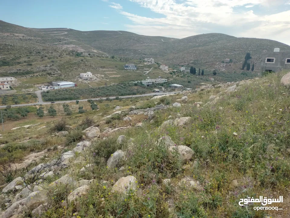 أرض عدة نمر للبيع بمساحات وأسعار مختلفة - بيت امرين - نابلس