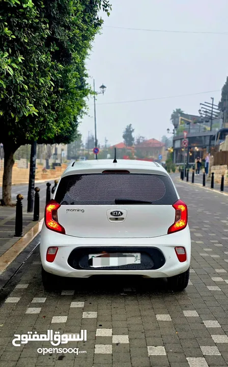 بيكانتو مورنينج 2021