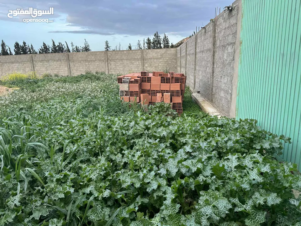 أرض للبيع فرصة