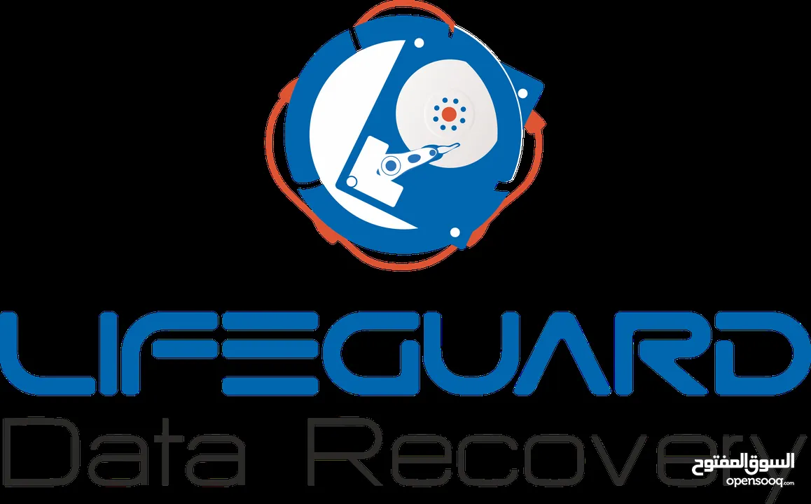 Lifeguard Data Recovery Services