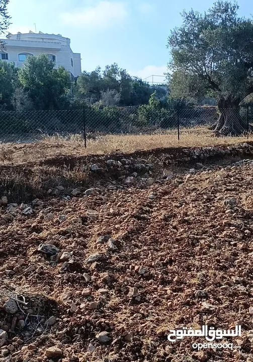 ارض للبيع في كوبر