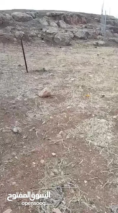 ارض مميزه منطقة شاليهات