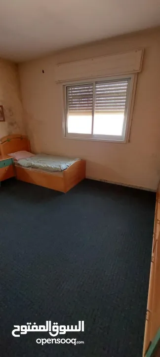 شقة للايجار