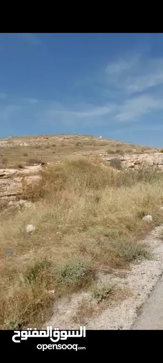 ارض للبيع 10 دونمات واجه 100 متر على شارع 20 معبد تبعد عن اشاره بلعما 1500 متر