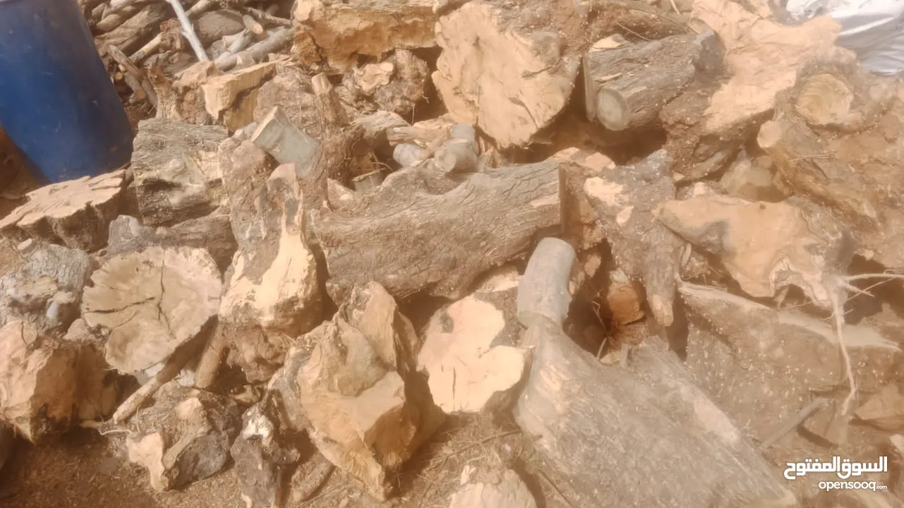 حطب زيتون زند وقرمي ناشف حطب لوزيات ناشف