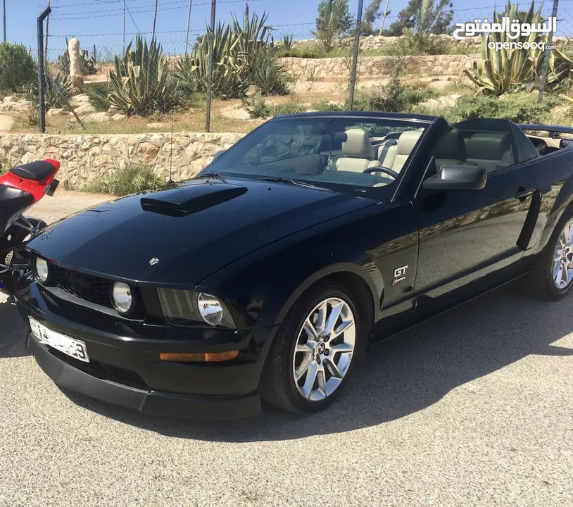 جير عادي Mustang gt California special