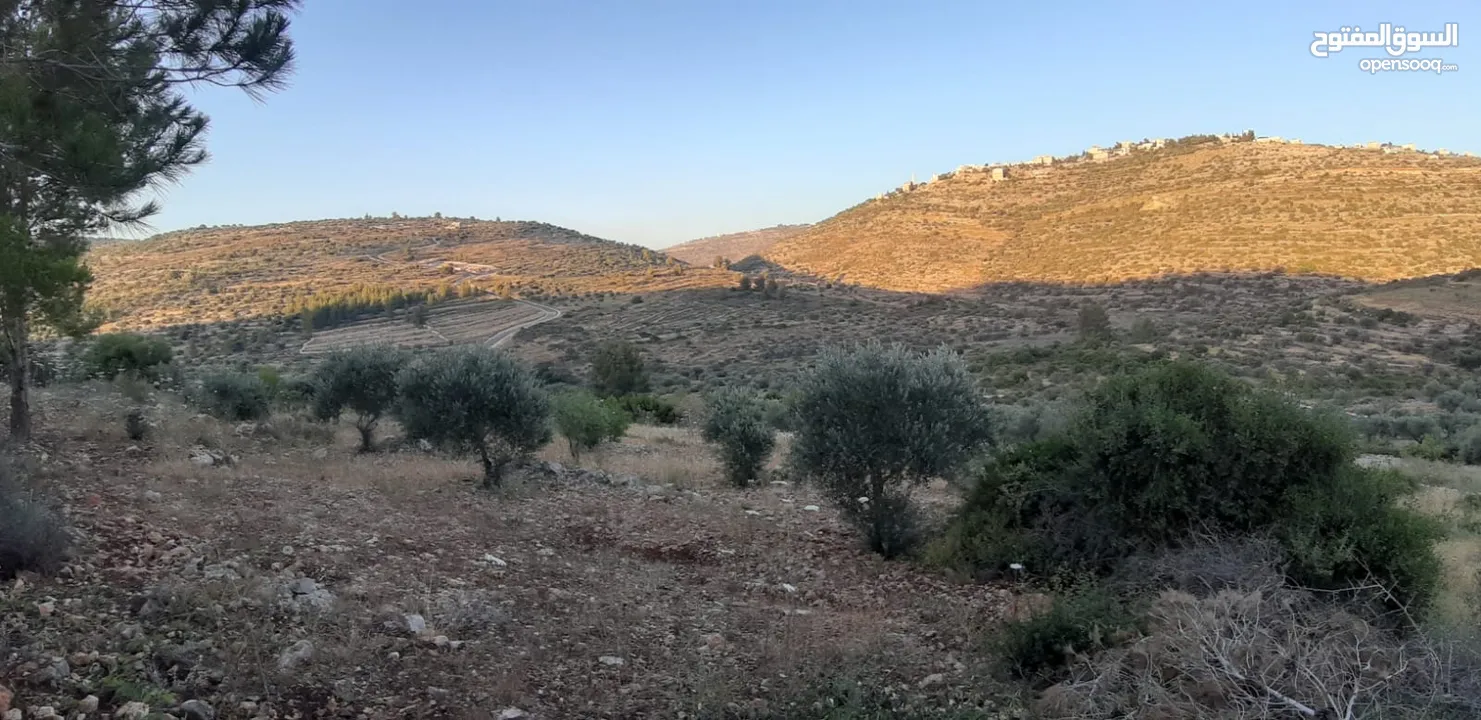 قطعة ارض للبيع بسعر جدا مغري تصنيف A