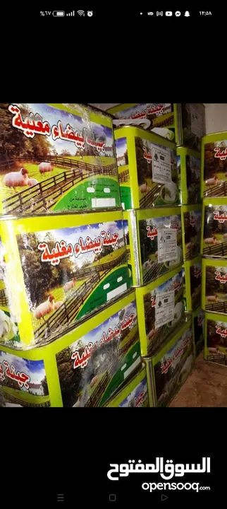 جبنة نابلسية بيضاء مغلية