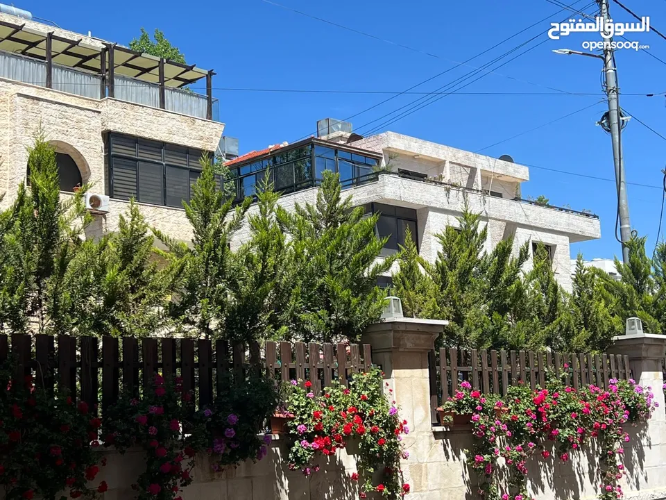 ‎ نباتات وزهور وأشجار زينة بحالة ممتازة