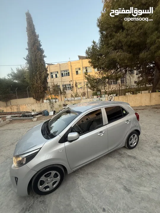 مورنينج بيكانتو 2020 نخب لسا بالنايلون ماشيه 40 كيلو فقط