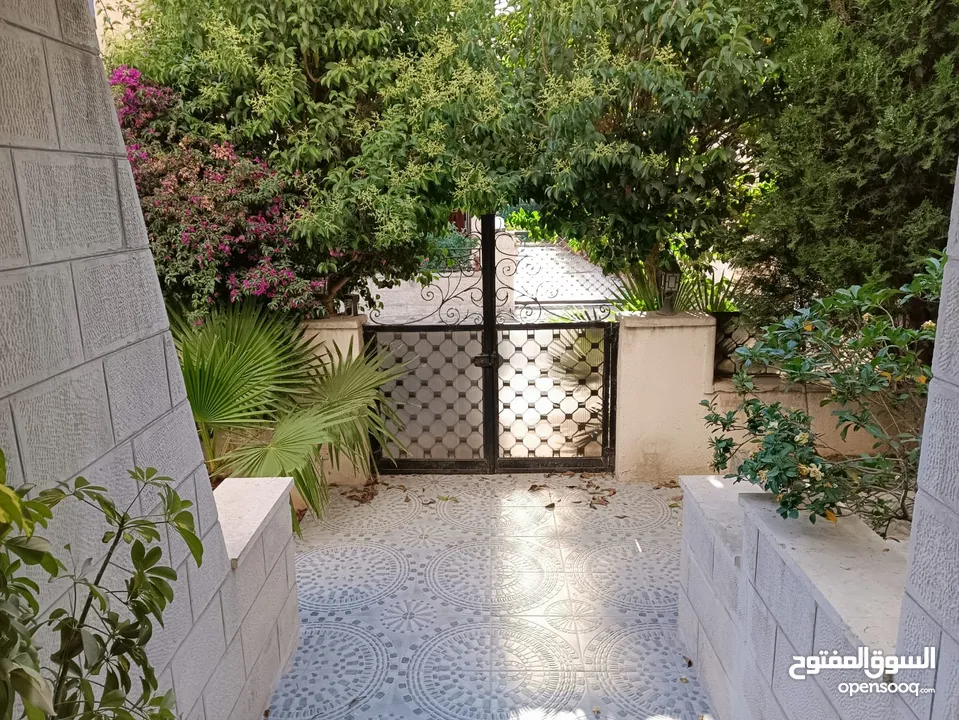 فيلا متلاصقة دوبلكس للايجار في الصويفية ( Property 37798 )-175064103