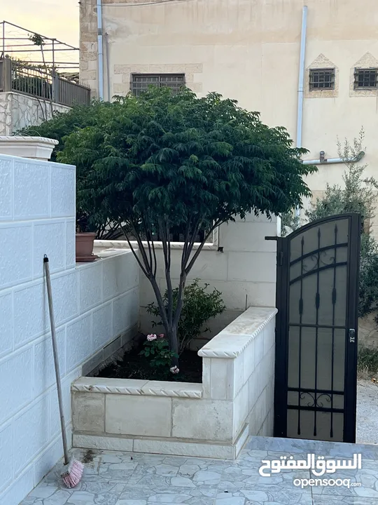عماره طابقين للبيع تشطيب ديلوكس عمر البناء 5سنوات
