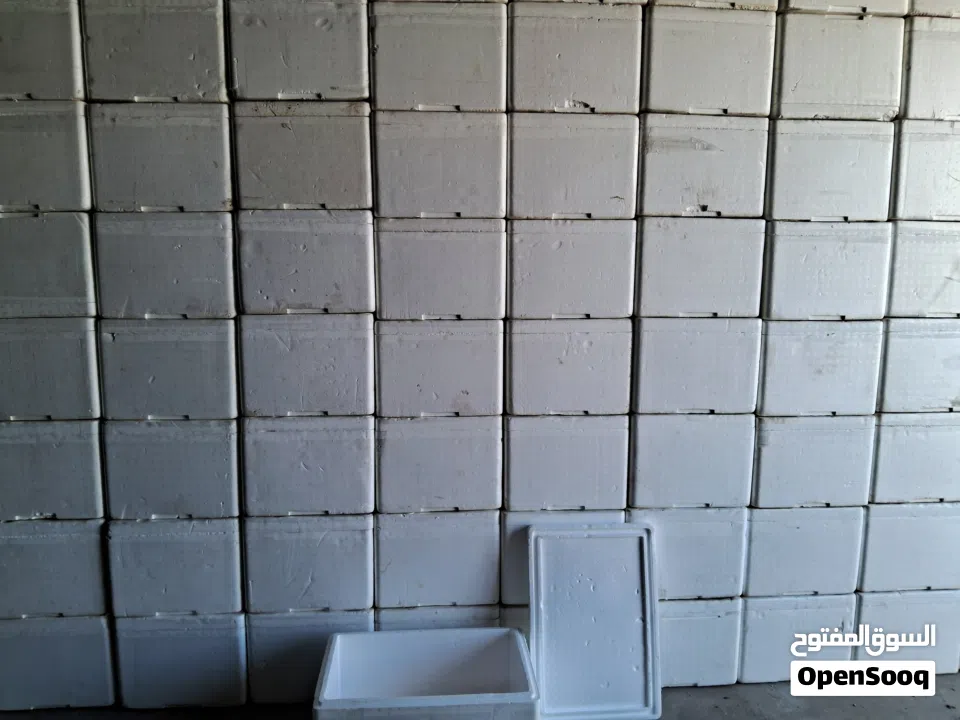 للبيع ثلاجات فلين - For sale Ice boxx