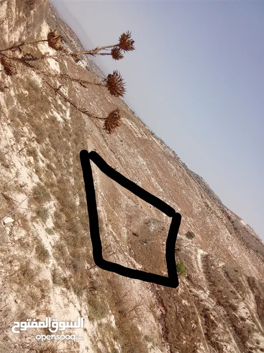 ارض للبيع في يعبد  بين النزله والطرم