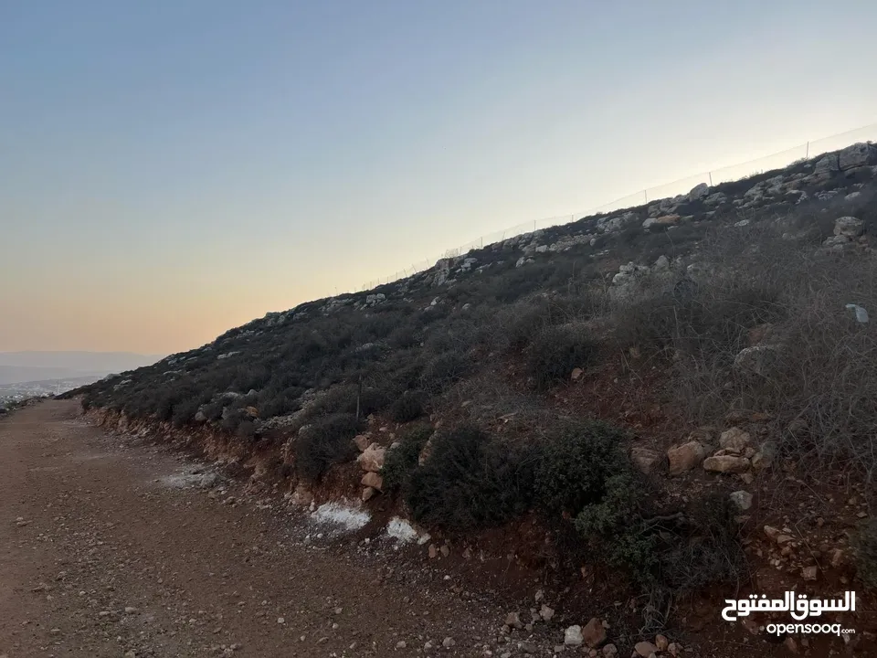 ارض للبيع بسعر مغري صالحه للزراعه والبناء ولكل شيء