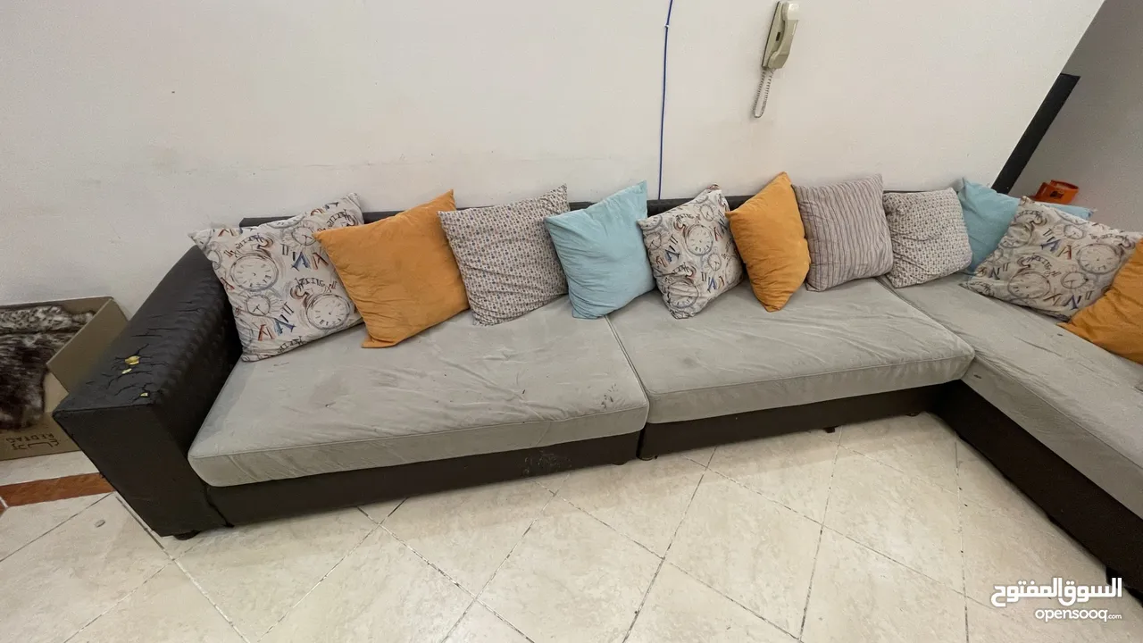 2 Sofa sets and Center Table