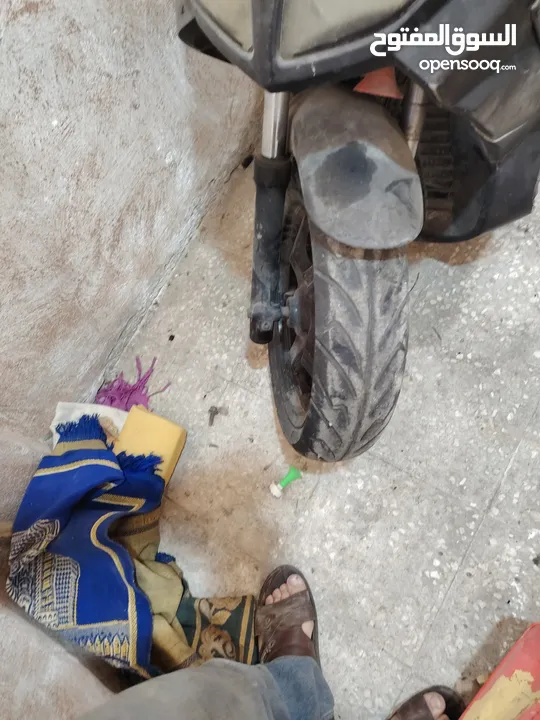 شصيات للبيع