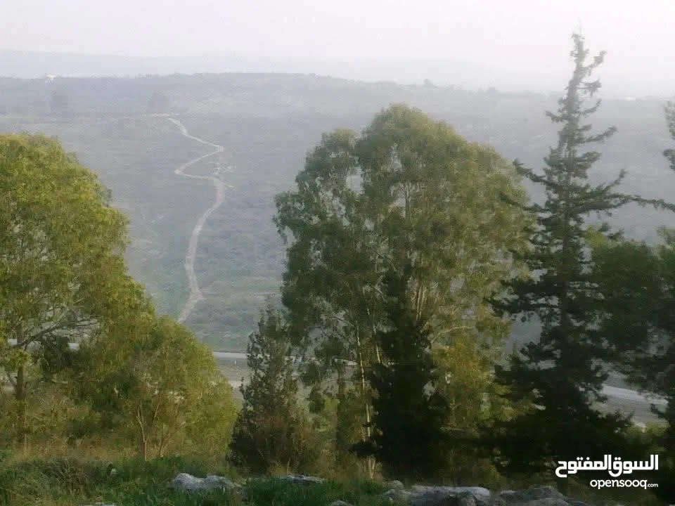 1000 متر مربع في اكتابا للبيع