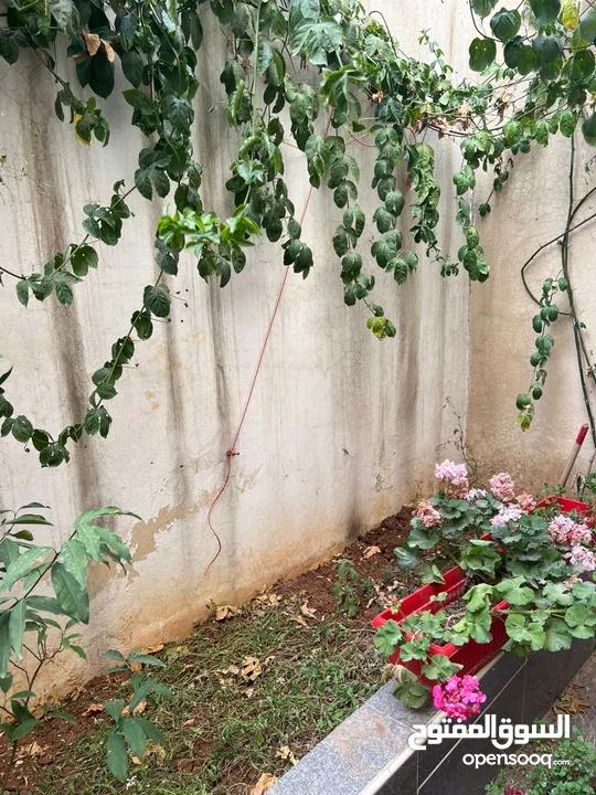 شقة مميزة جدا للبيع بالقرب من مستشفى الأمير حمزة (بسعر مغري)