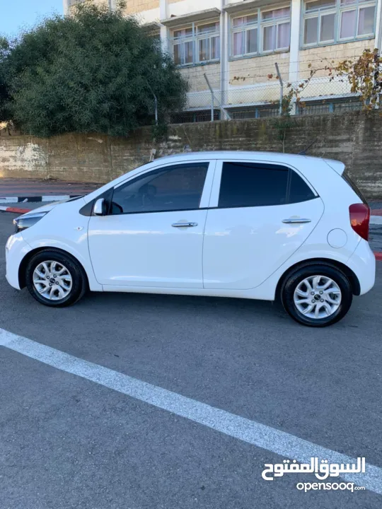 كيا بيكانتو كرتونه