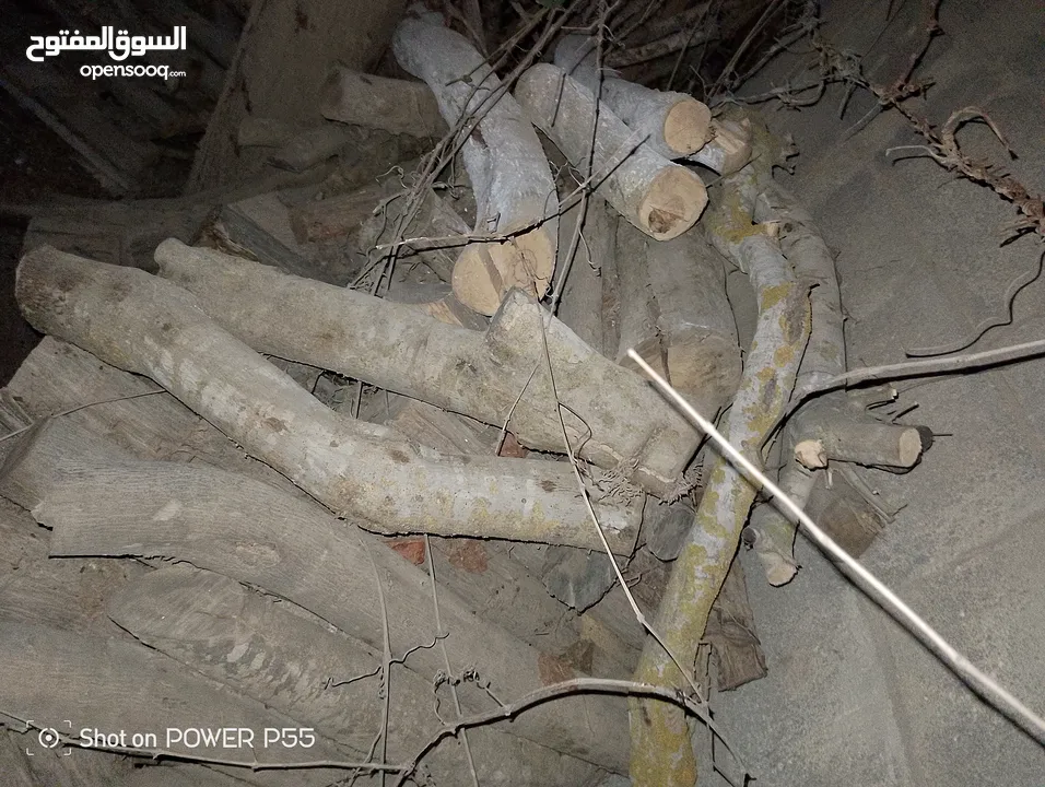 تشكيلة حطب للبيع