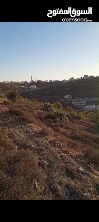 ارض للبيع بمنطقة سردا  تصنيف طابو