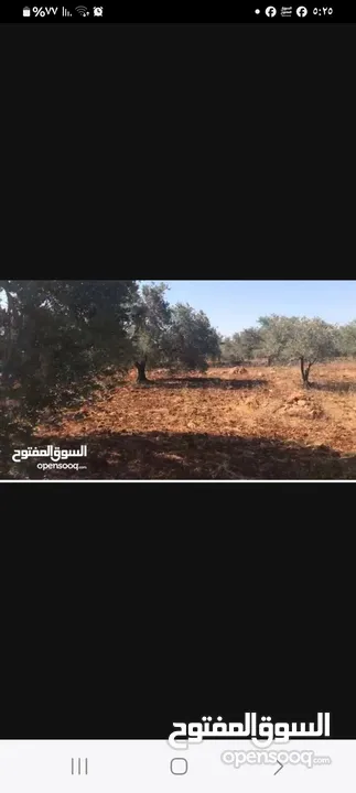 ارض للستثمار في منطقه كوبر مساحه دونم و300 متر المساحه للستثمار