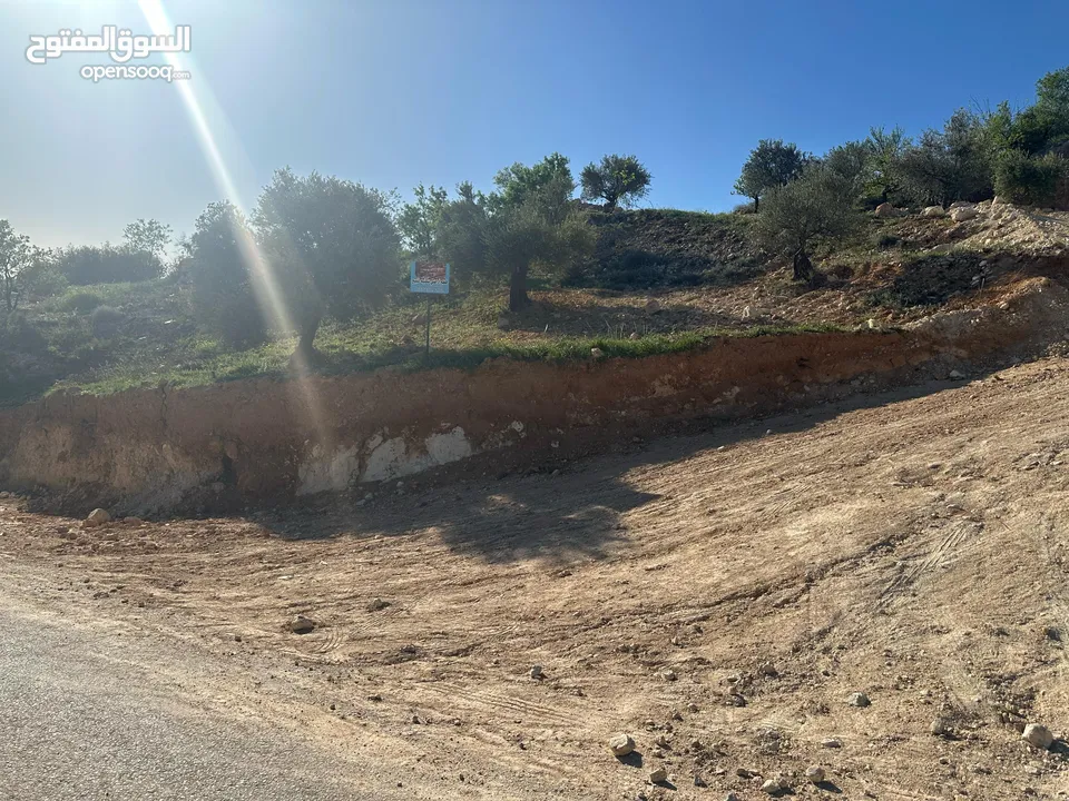 قطع سكنيه (سكن ج ) منطقه(عين جنا/ عجلون) وسط البلد،مرتفعه واطلاله جميلة على القلعة واصل جميع الخدمات