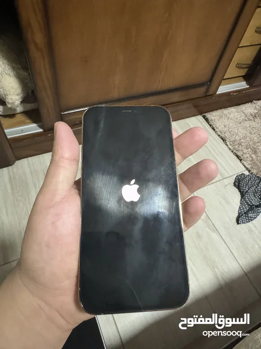 Iphone 12 pro