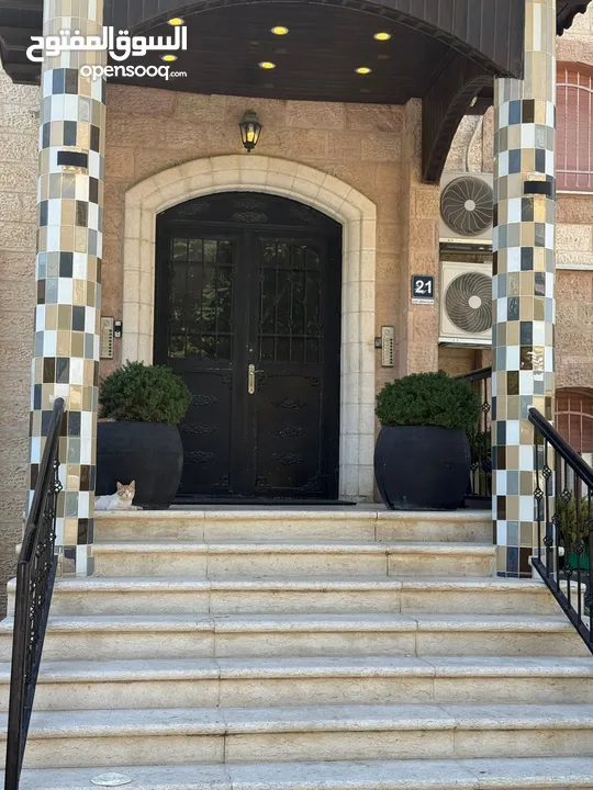 شقة مفروشة في المصيون