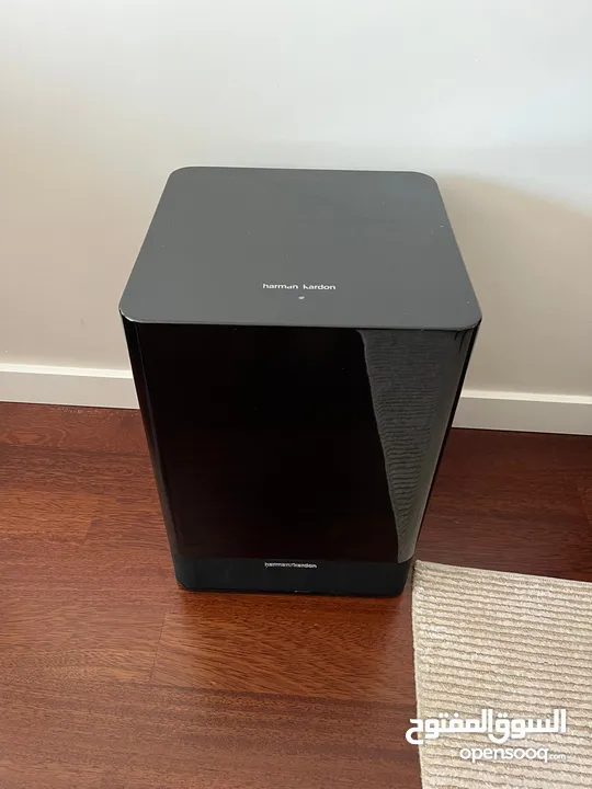 Harman/kardon  SUB-TS7  Works in excellent condition, very clear sound