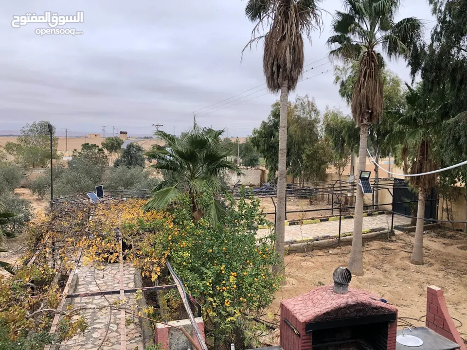 مزرعة مميزة و مشجرة للبيع بسعر مغري