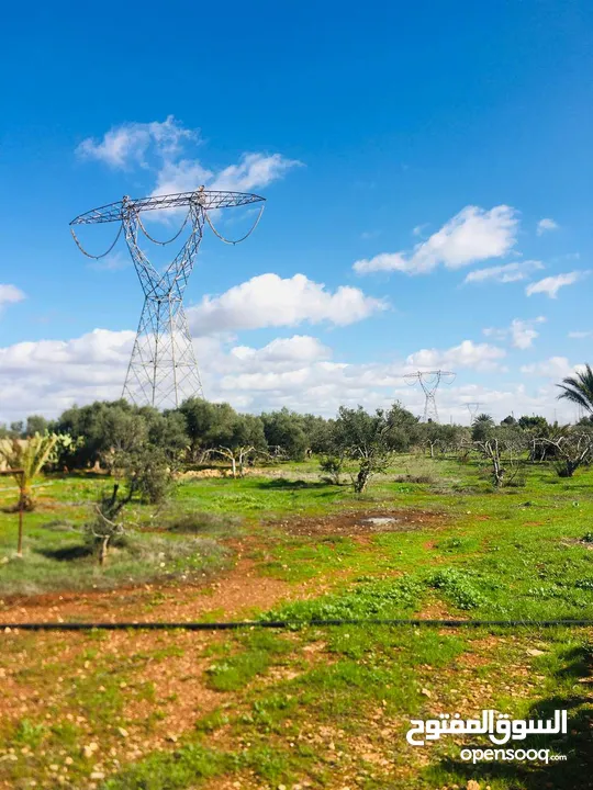 مزرعة للبيع بوهادي