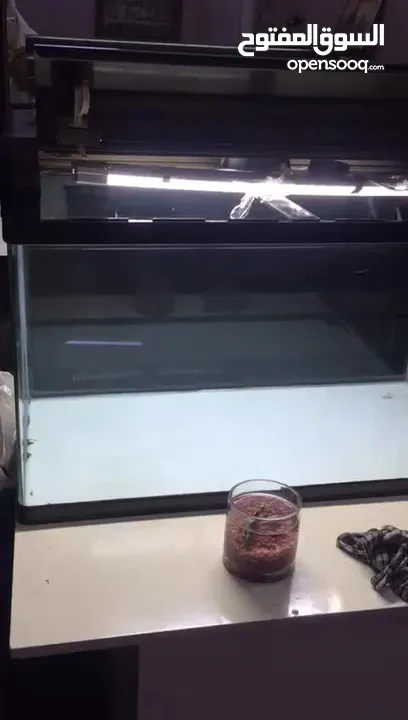 Aquarium For Sale