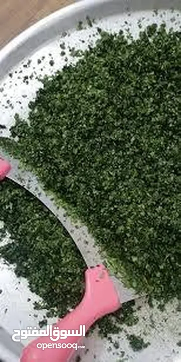 ملوخيه شغل بيت 4كيلو اخضر ب 10د ناشف الكيلو 5  اقل سعر  ملوخيه السنه نخبب  ملوخيه مغسله ونضيفه وجاهز