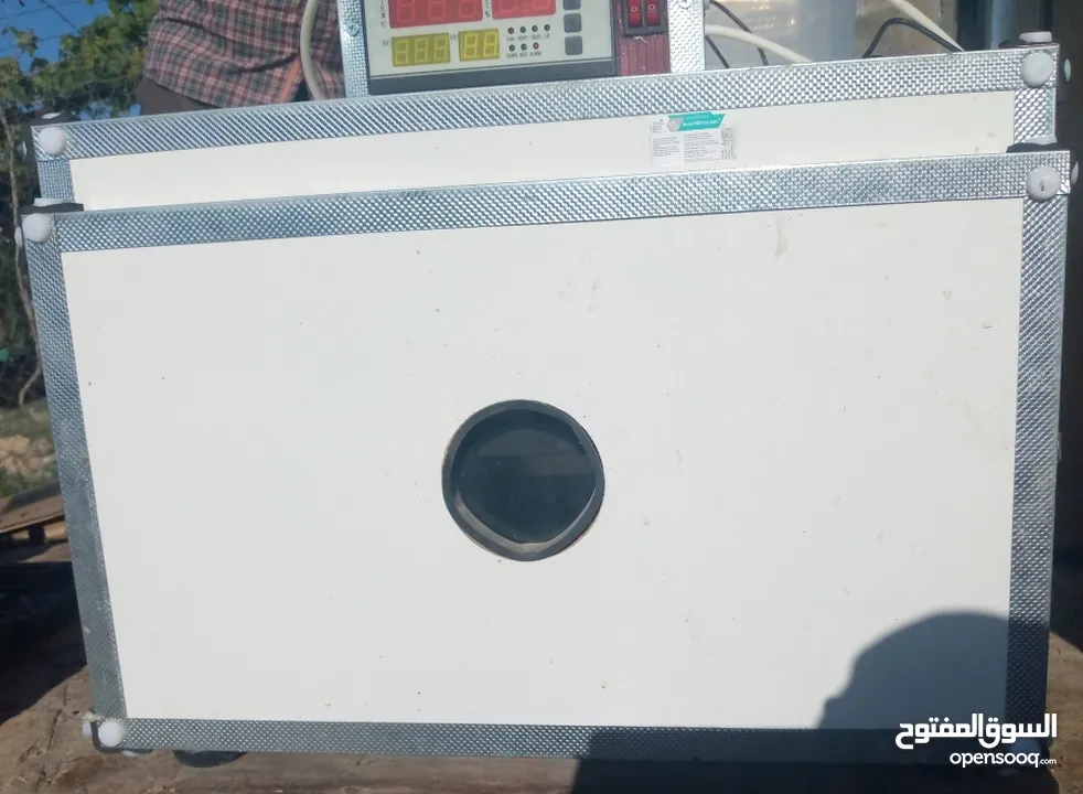 فقاسة بيض دجاج و فري