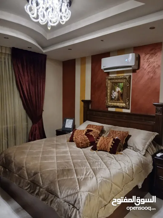 شقه طارق ارضي