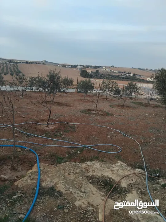 بيت للبيع في قريه دليله المطيرات شرق مادبا
