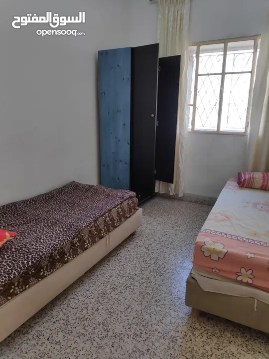 شقة للايجار