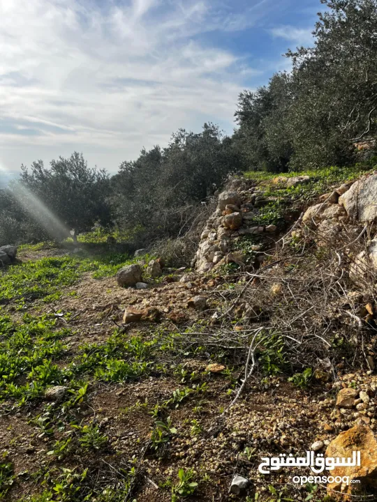 أرض للبيع بإطلالة غربية واصل جميع الخدمات