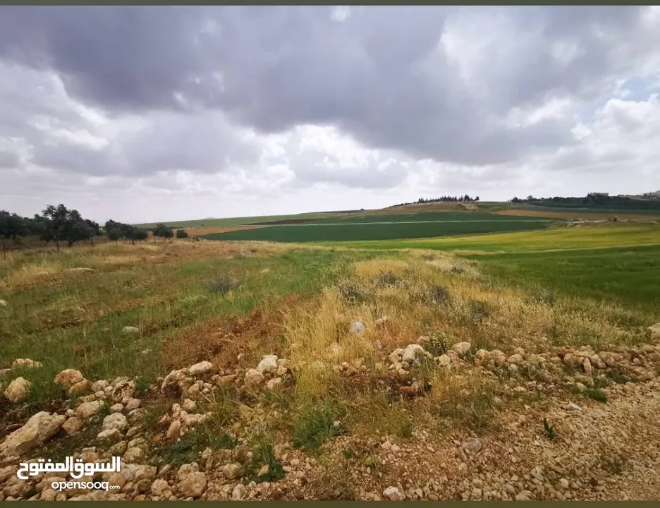 أرض للبيع في ناعور من المالك مباشرة